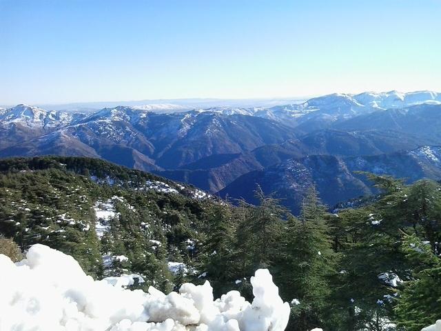 Chréa National Park